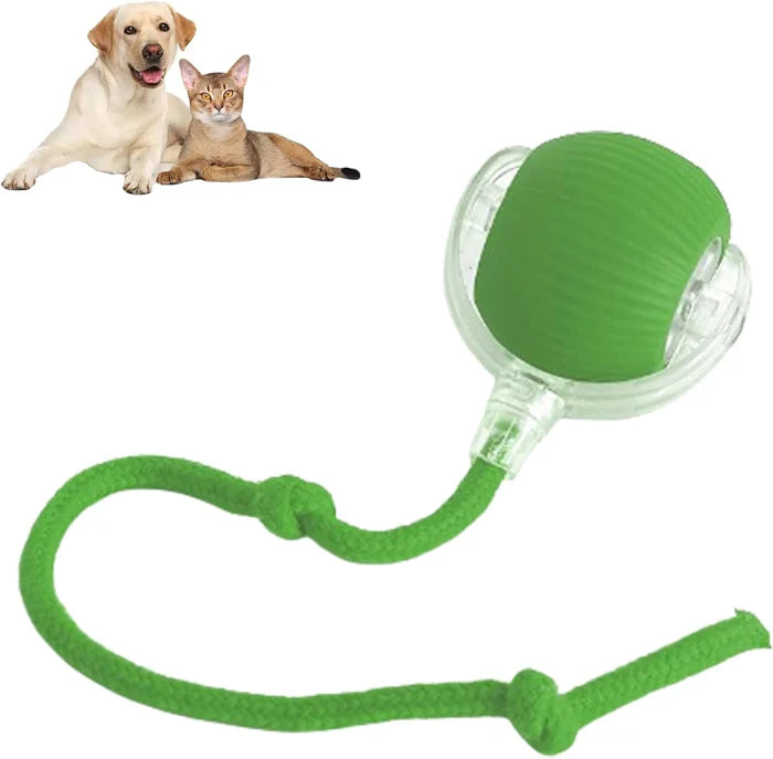 INTERAKTIVER BALL