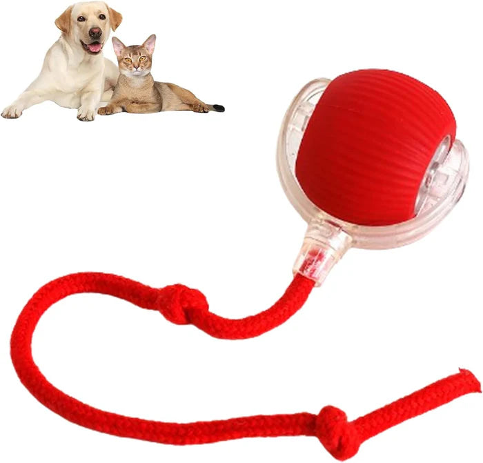 INTERAKTIVER BALL