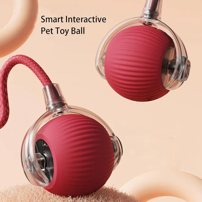 INTERAKTIVER BALL