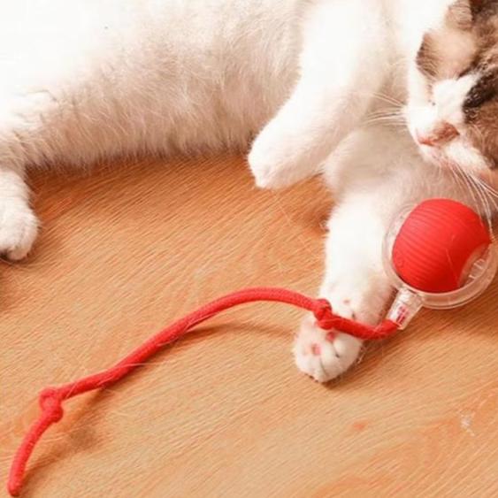 INTERAKTIVER BALL