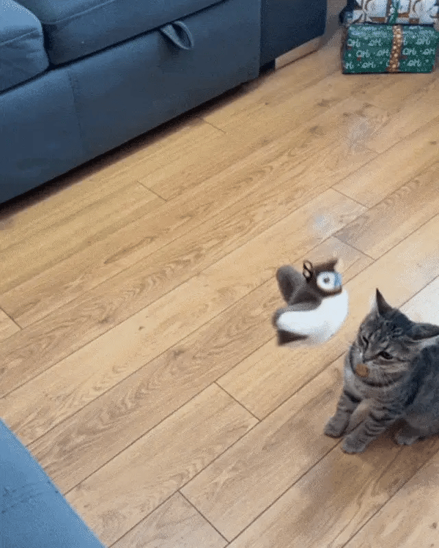 INTERACTIVE BIRD